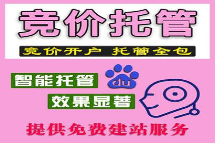 SEM托管实战分享：成功案例助力企业营销突破